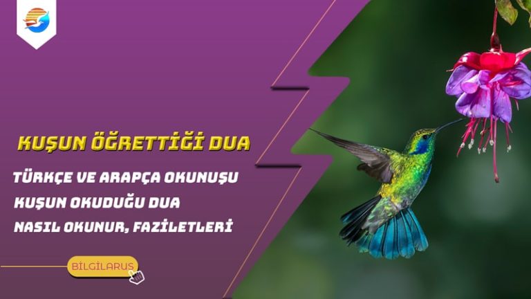 Kuşun Öğrettiği Dua - Kuşun Okuduğu Dua